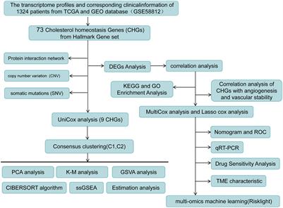 Prognostic value analysis of cholesterol and cholesterol homeostasis related genes in breast cancer by Mendelian randomization and multi-omics machine learning